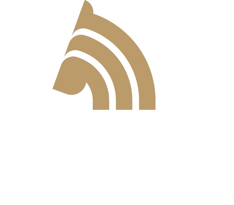 Limus VIP shuttle